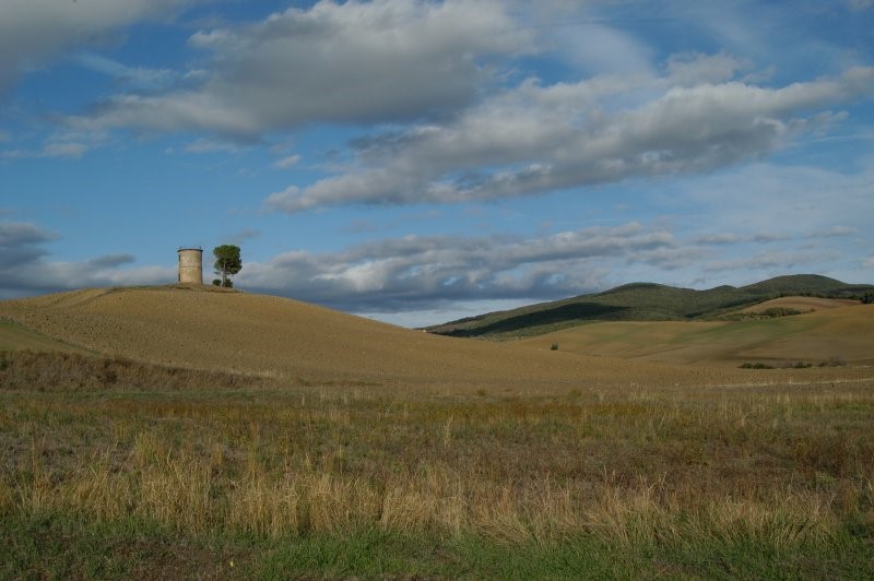 BIBBONA CAMPAGNA